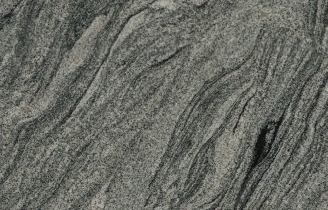 Mountain Mist close up