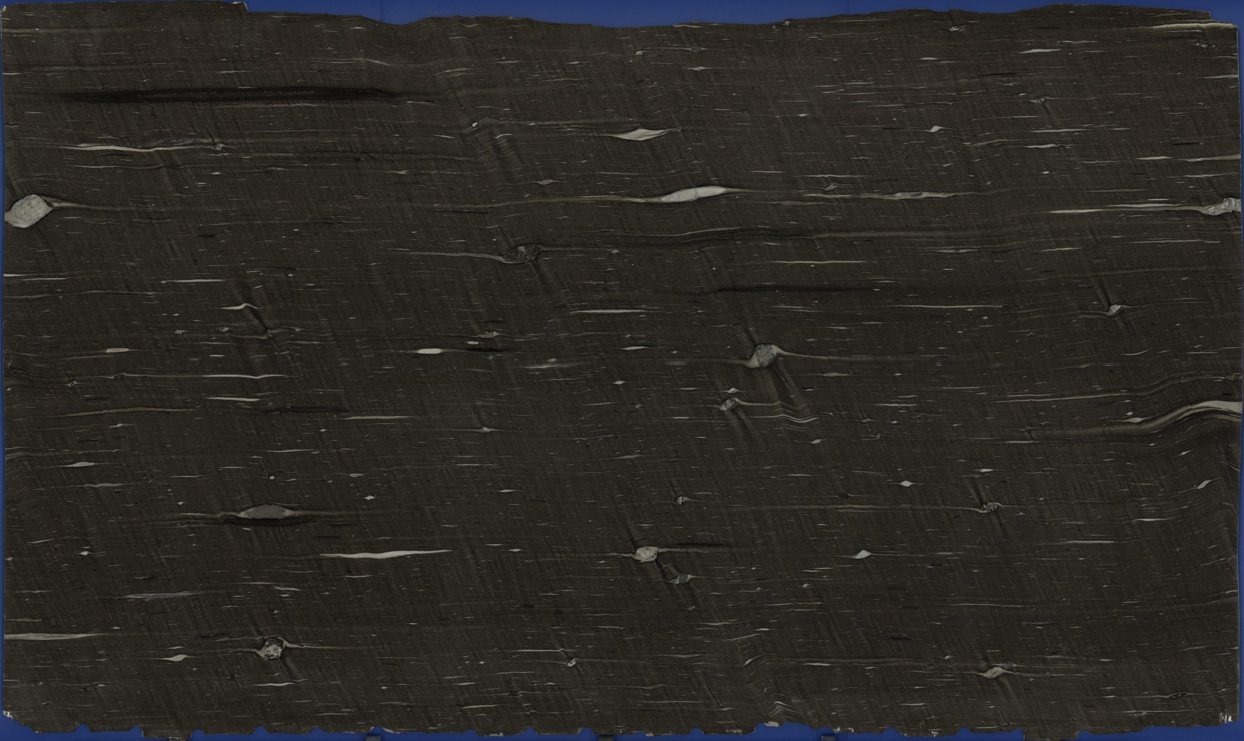 cygnus granite full slab