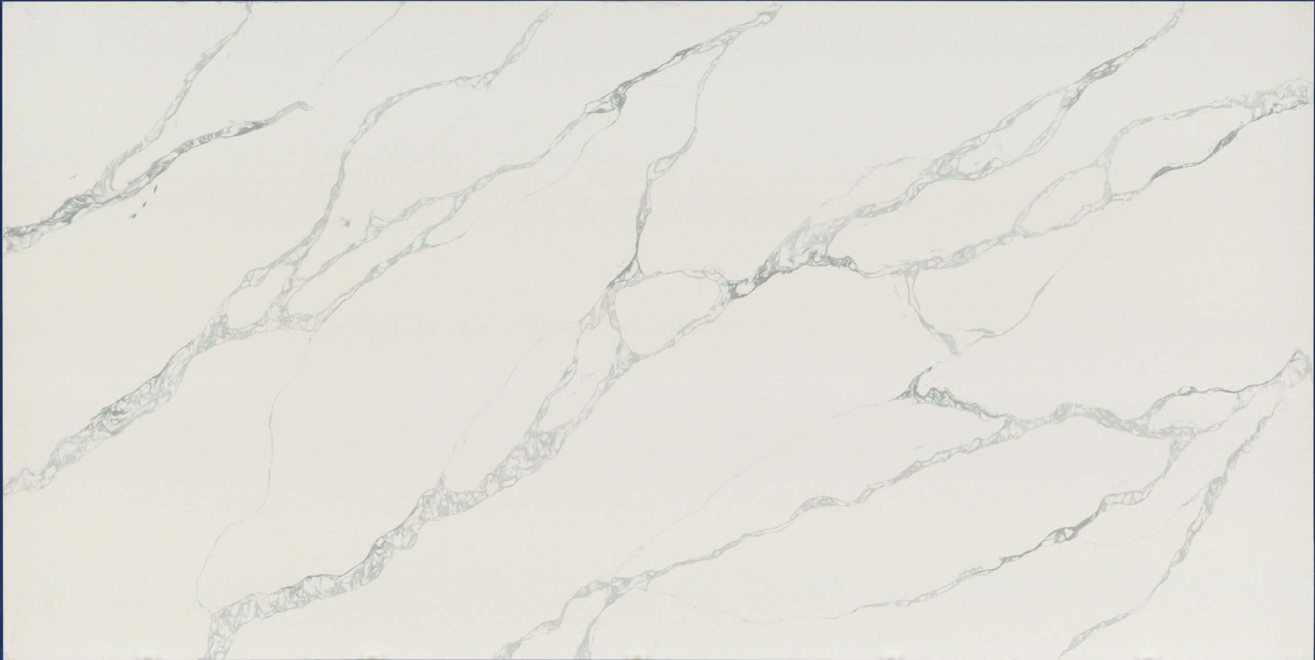 calacatta nuvo quartz full slab