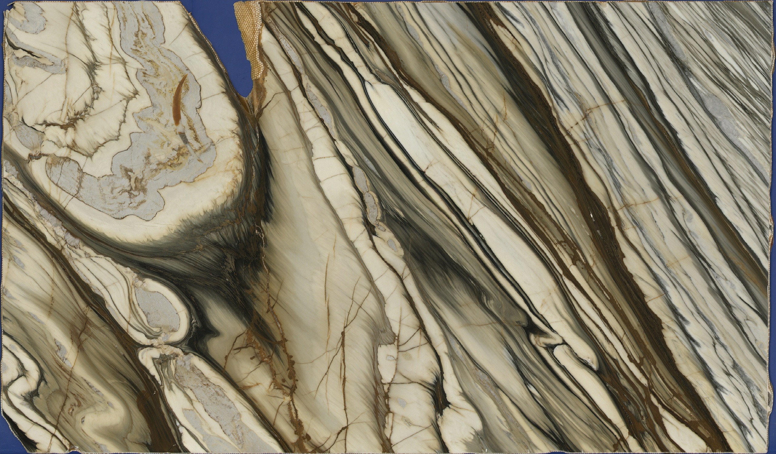 Calacatta Oyster marble full slab