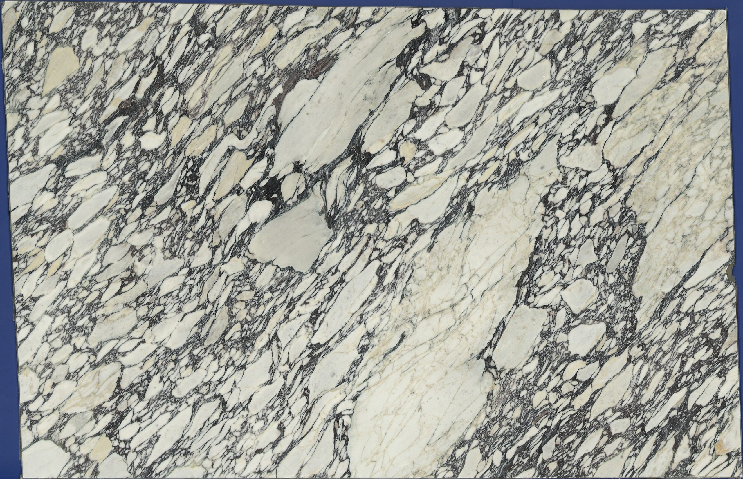Calacatta Viola marble full slab