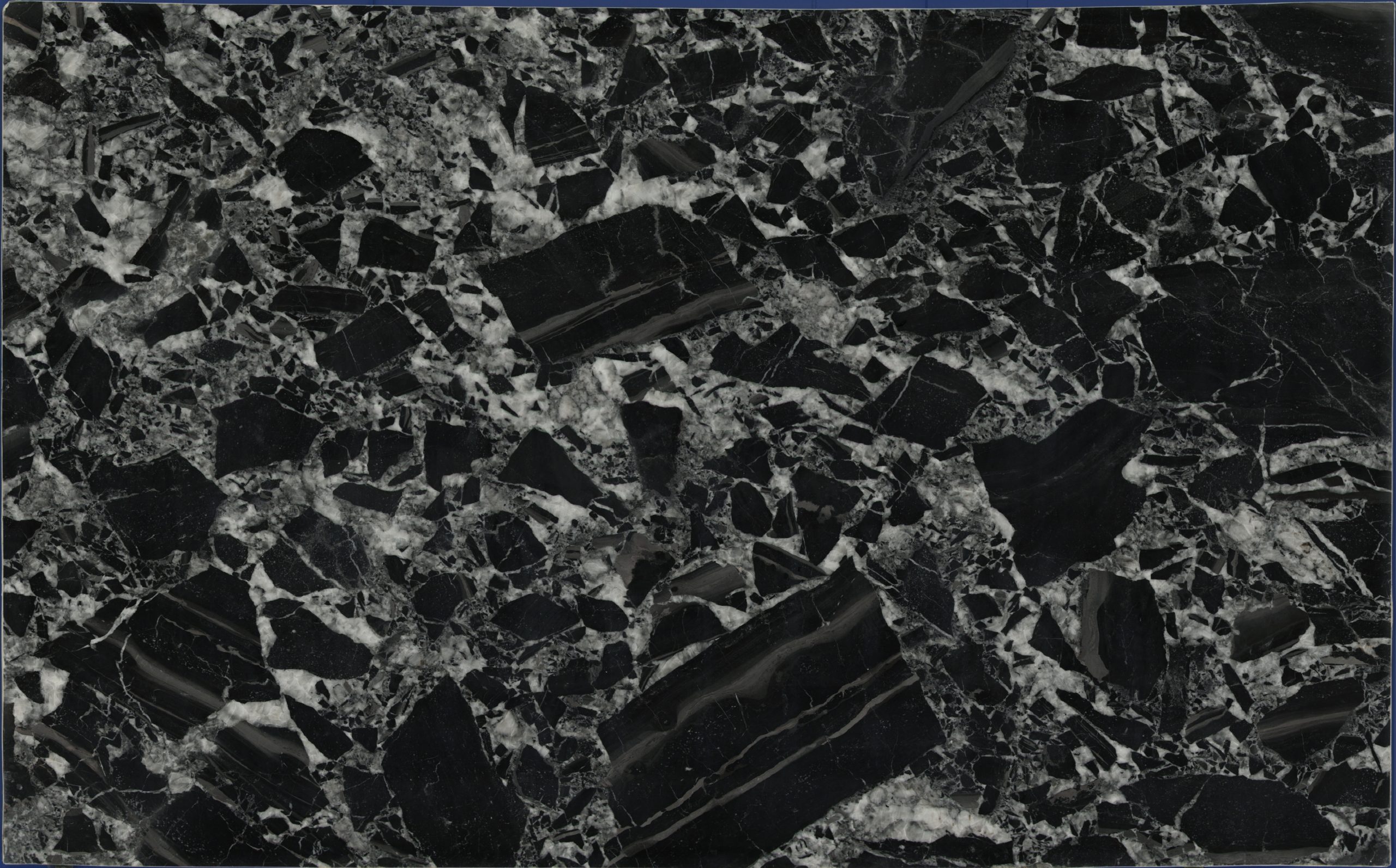Nero Alba Marble full slab